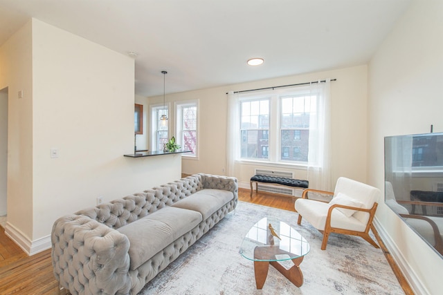 living room with hardwood / wood-style flooring