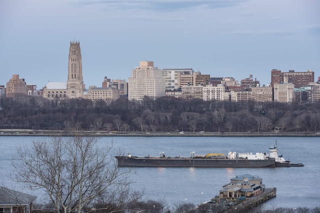 320 Adolphus Ave Unit 321-A, Cliffside Park, NJ 07010 - dock area with a water view and a city view