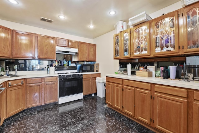 kitchen with dishwashing machine, sink, range with gas stovetop, and backsplash