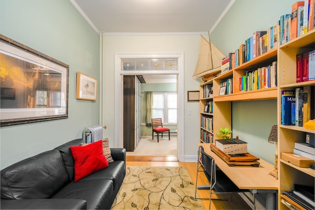 home office featuring crown molding, radiator, and light wood-type flooring