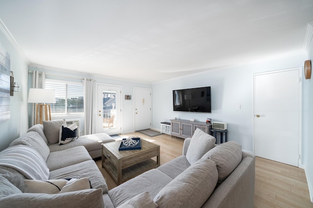 living room with light wood-type flooring and crown molding