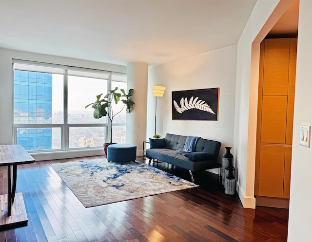 living room featuring dark wood-style floors