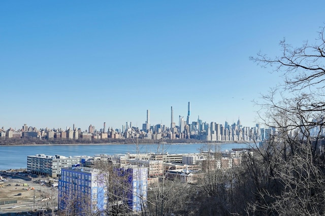 1 Columbus Pl Unit 1, Cliffside Park, NJ 07010 - water view with skyline