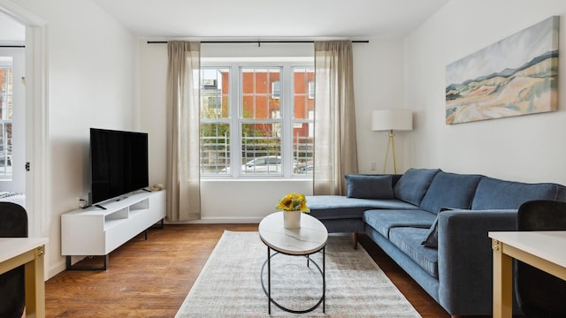 living room featuring dark wood-type flooring