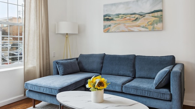 living room with wood-type flooring