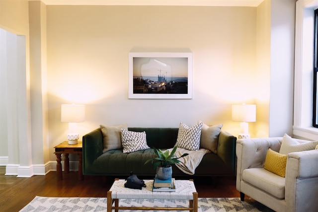 living room with dark hardwood / wood-style flooring