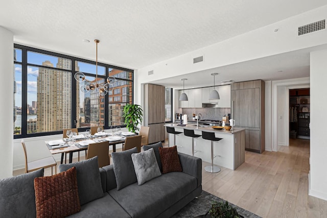 living room with expansive windows, a textured ceiling, and light hardwood / wood-style flooring