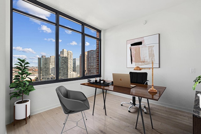 home office featuring hardwood / wood-style floors