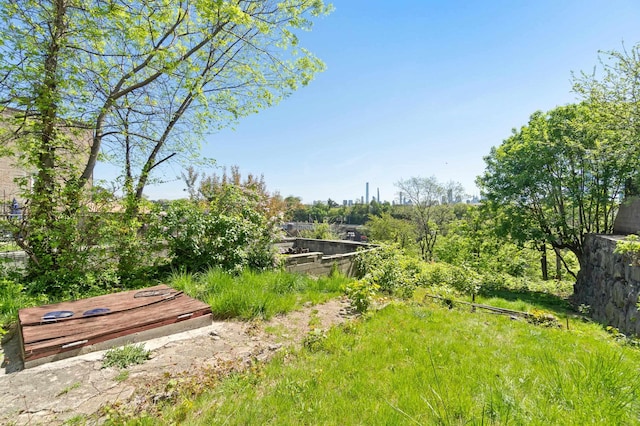 view of yard featuring a deck