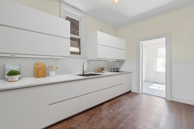 kitchen with a sink, white cabinetry, modern cabinets, light countertops, and radiator