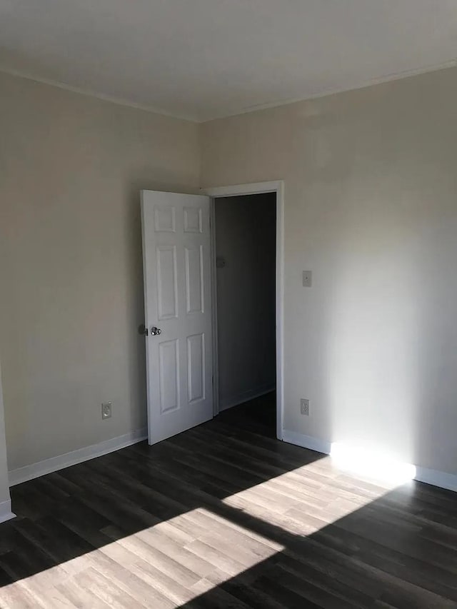 54 Montrose Ave, Jersey City, NJ 07307 - photo 11