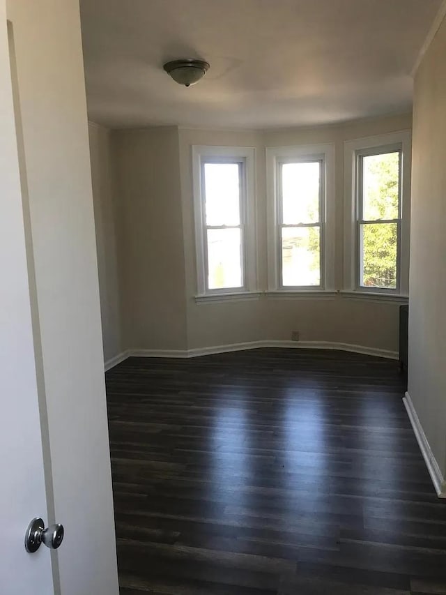 54 Montrose Ave, Jersey City, NJ 07307 - photo 17