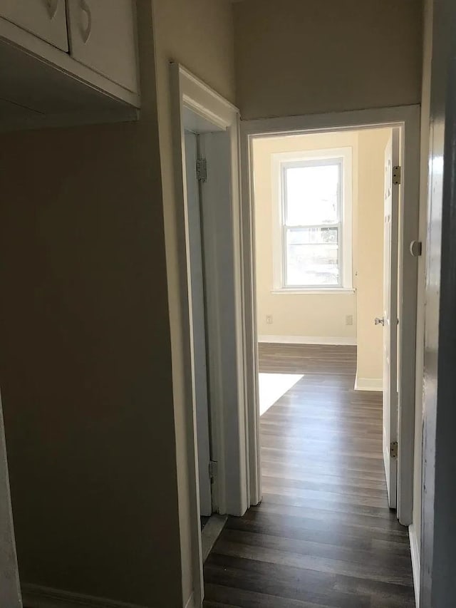 54 Montrose Ave, Jersey City, NJ 07307 - photo 12