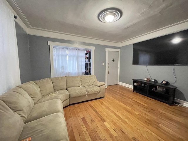 33 Clerk St, Jersey City, NJ 07305 - living room with light wood-style flooring, baseboards, and ornamental molding