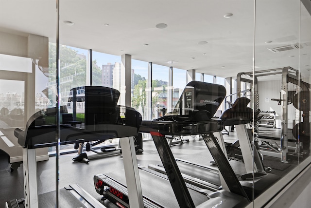 gym with expansive windows