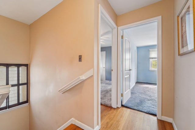 170 W 8th St, Bayonne, NJ 07002 - hall featuring wood finished floors and baseboards