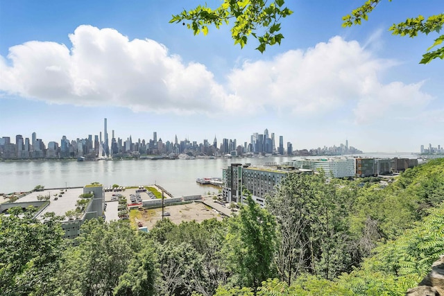 29 51st St Unit A2, Weehawken, NJ 07086 - water view with skyline and a boat dock