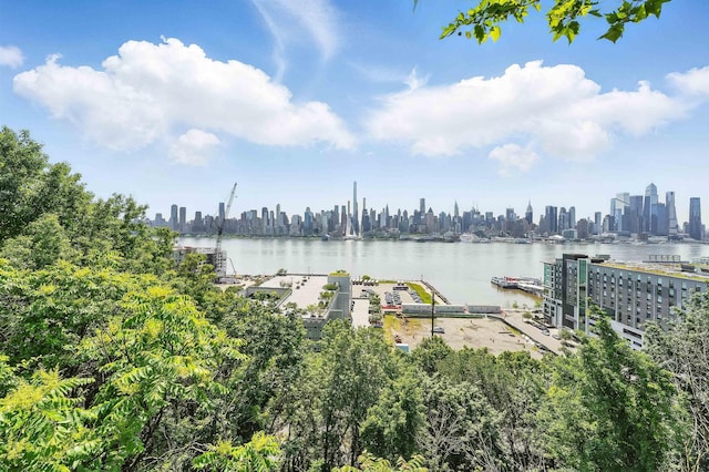 29 51st St Unit A2, Weehawken, NJ 07086 - water view with skyline and a floating dock