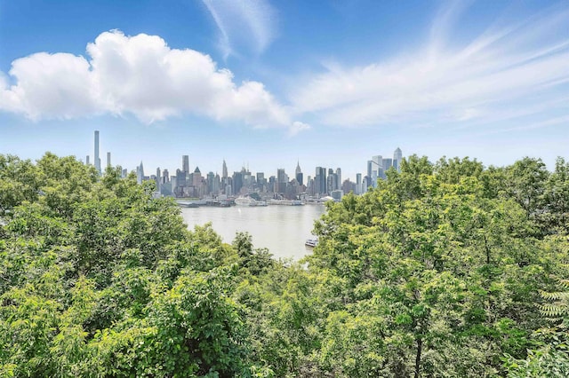 29 51st St Unit A2, Weehawken, NJ 07086 - water view featuring skyline