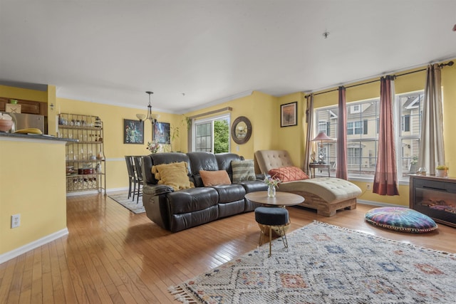 6 Elco Ct, Bayonne, NJ 07002 - living room with wood-type flooring, baseboards, and crown molding