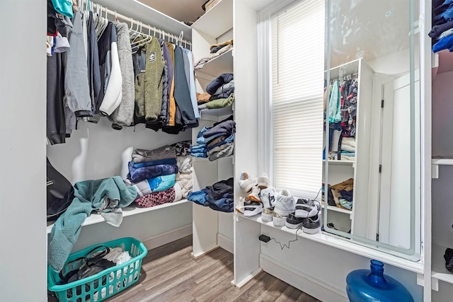 spacious closet featuring wood finished floors