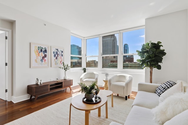 living room with dark hardwood / wood-style flooring and a wealth of natural light