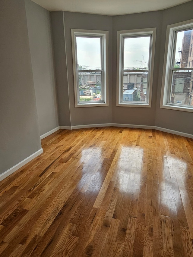 10 Wilkinson Ave, Jersey City, NJ 07305 - photo 14