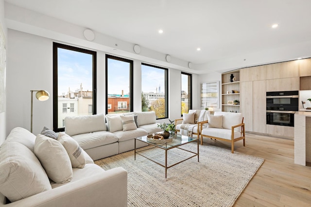 living room featuring light hardwood / wood-style floors