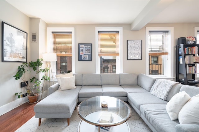 living room with baseboards and wood finished floors