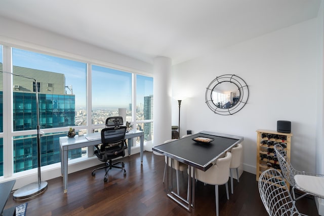 office featuring dark hardwood / wood-style floors and a wealth of natural light