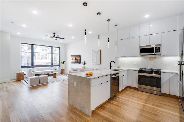 177 Wilkinson Ave Unit 1, Jersey City, NJ 07305 - kitchen featuring modern cabinets, a sink, light wood-style floors, a peninsula, and stainless steel appliances