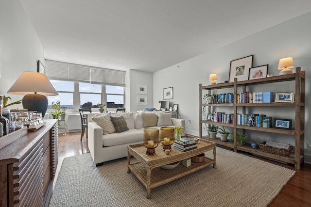 88 Morgan St Unit 2207, Jersey City, NJ 07302 - living area featuring wood finished floors