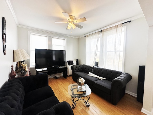 living room featuring radiator, crown molding, wood finished floors, and ceiling fan