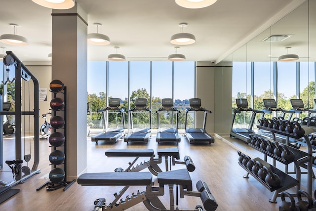 workout area with visible vents, wood finished floors, and a wall of windows