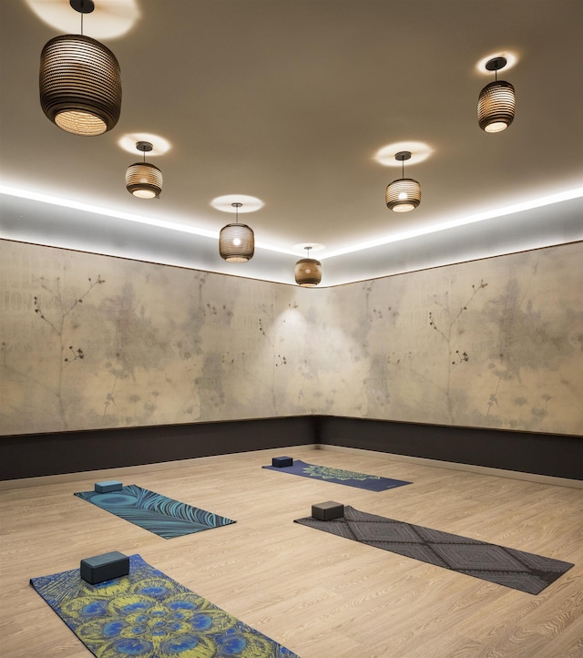 exercise room featuring wood finished floors