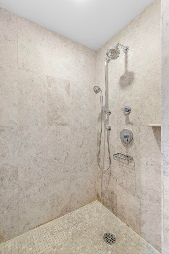 full bathroom with a tile shower