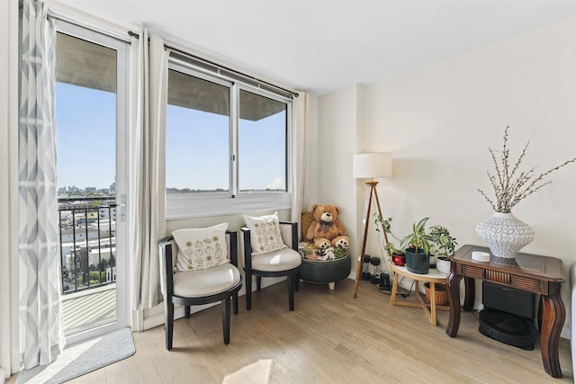100 Manhattan Ave Unit 1217, Union City, NJ 07087 - living area with light wood-type flooring