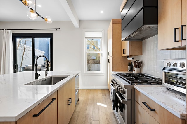 kitchen featuring a sink, custom exhaust hood, appliances with stainless steel finishes, and a wealth of natural light