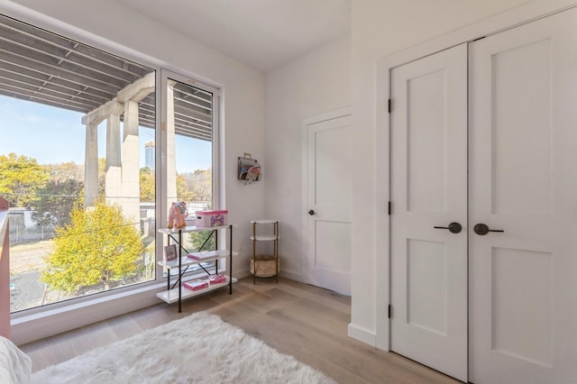 doorway with wood finished floors