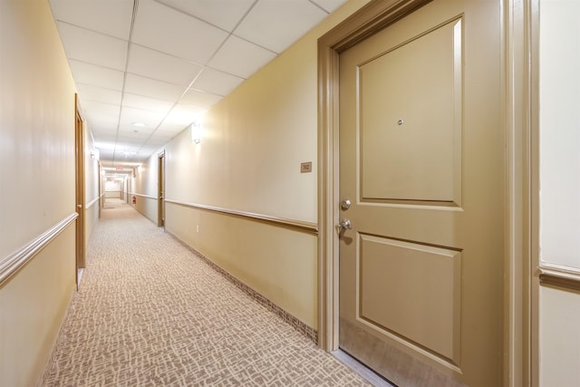 corridor with light colored carpet and a paneled ceiling