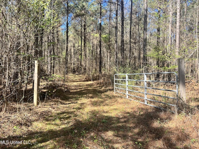 2 Henry Sample Rd, Lena MS, 39094 land for sale