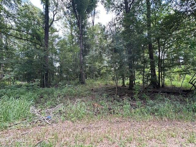 LOT222 Hickory Ln, Lucedale, MS 39452