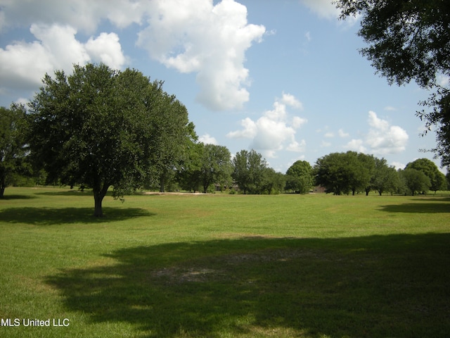 Listing photo 3 for 0 New Arbor Middle Rd, Poplarville MS 39470