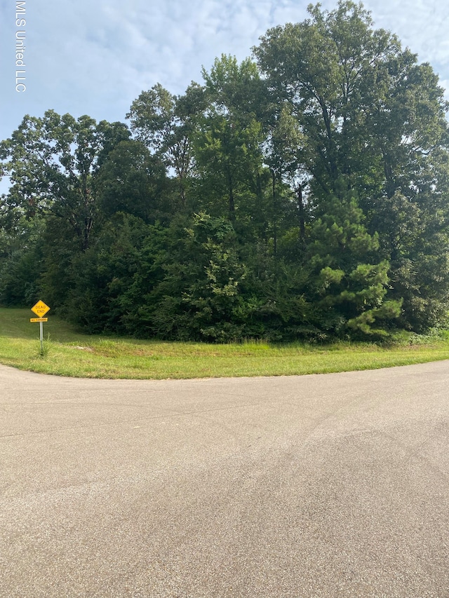 Miller Station Ln, Olive Branch, MS 38654