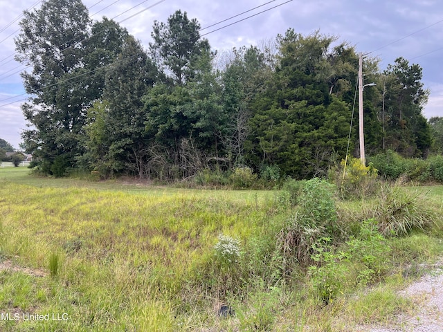 Listing photo 3 for Hwy 309, Byhalia MS 38611