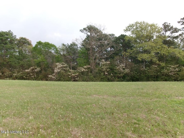 NHN Shorecrest Cir, Carriere MS, 39426 land for sale