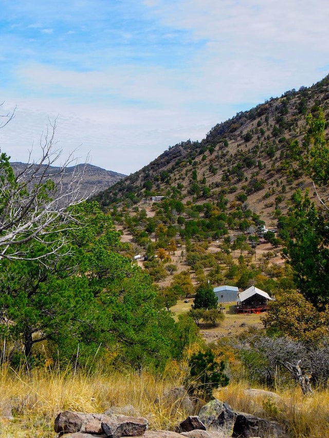 view of mountain feature