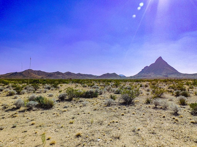 300 Ltm Rd, Terlingua TX, 79852 land for sale