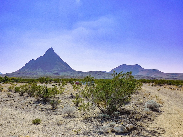 Listing photo 3 for 300 Ltm Rd, Terlingua TX 79852