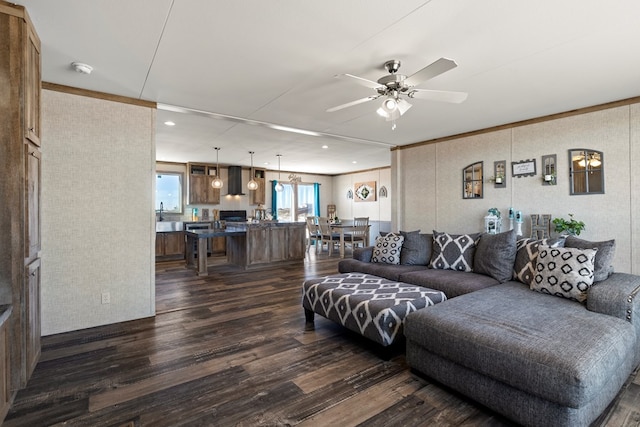 living area featuring ceiling fan, ornamental molding, and dark wood-style flooring